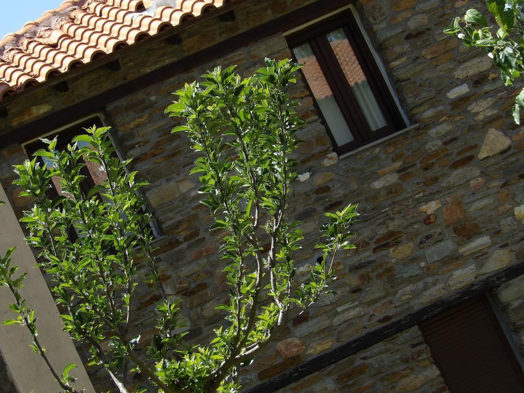 Guesthouse Rodamos Taxiarkhis  Bagian luar foto